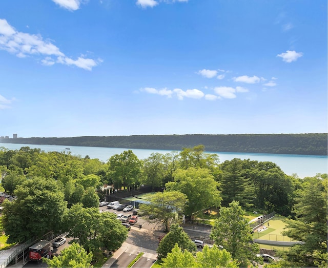 5900 Arlington Ave Unit 10H, New York City, NY 10471 - bird's eye view of a nearby body of water