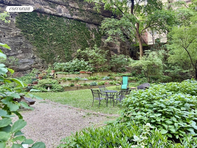 875 W 181st St Unit 6B, New York City, NY 10033 - view of yard