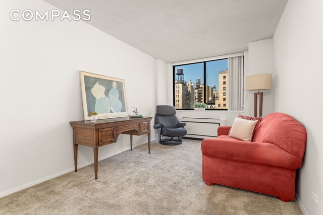 275 W 96th St Unit 12B, New York City, NY 10025 - living area with a city view, carpet floors, and baseboards