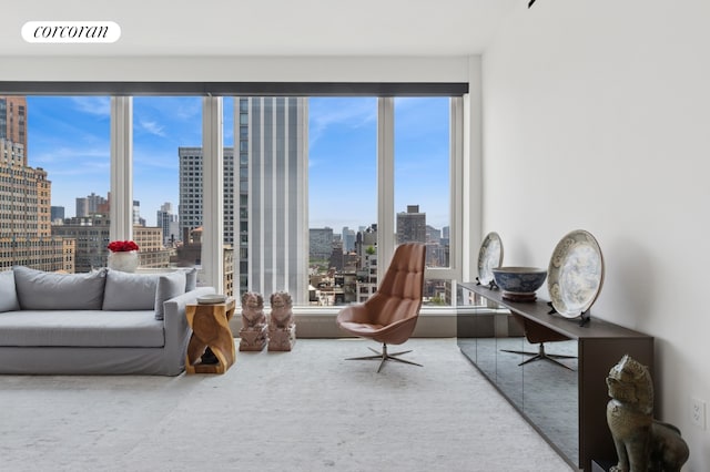 15 E 30th St Unit 22C, New York City, NY 10016 - living area with a skyline view and healthy amount of natural light