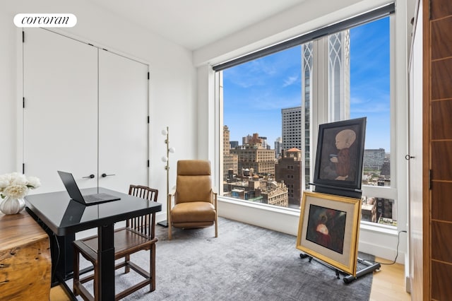 15 E 30th St Unit 22C, New York City, NY 10016 - sitting room with a view of skyline and wood finished floors