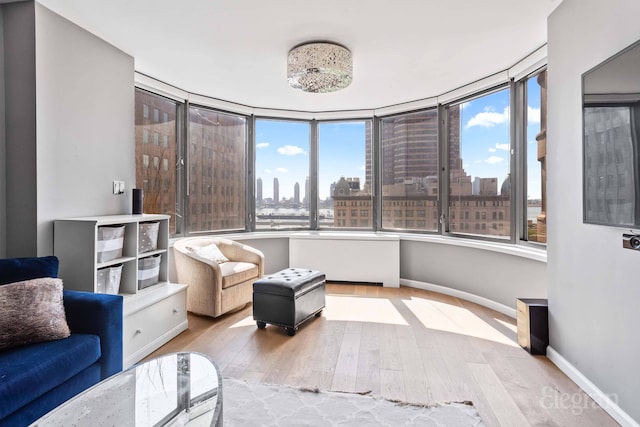 330 E 38th St Unit 8Ij, New York City, NY 10016 - living area with a city view, hardwood / wood-style flooring, and baseboards