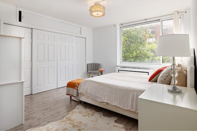 250 S End Ave Unit 3B, New York City, NY 10280 - bedroom featuring a closet and wood finished floors