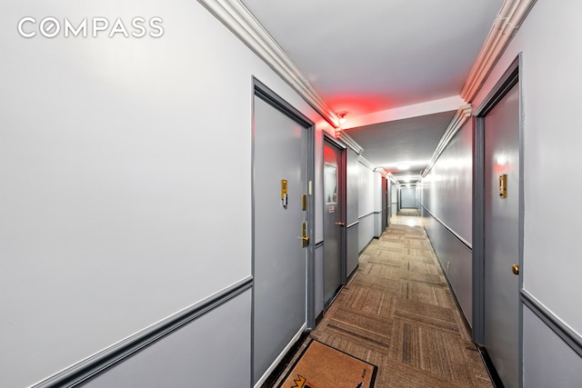 1360 Ocean Pkwy Unit 7B, New York City, NY 11230 - hallway with carpet floors and crown molding