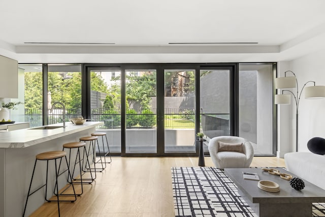 153 Green St Unit 1B, New York City, NY 11222 - living area with healthy amount of natural light and light wood-type flooring
