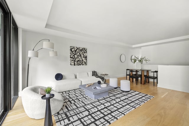 153 Green St Unit 1B, New York City, NY 11222 - living area featuring a raised ceiling and light wood-type flooring