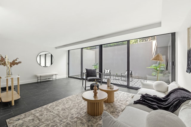 153 Green St Unit 1B, New York City, NY 11222 - living area featuring baseboards