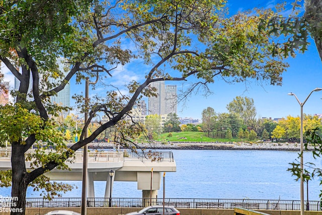 433 E 51st St Unit 11E, New York City, NY 10022 - water view featuring a dock