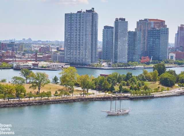 433 E 51st St Unit 11E, New York City, NY 10022 - bird's eye view of skyline and a large body of water