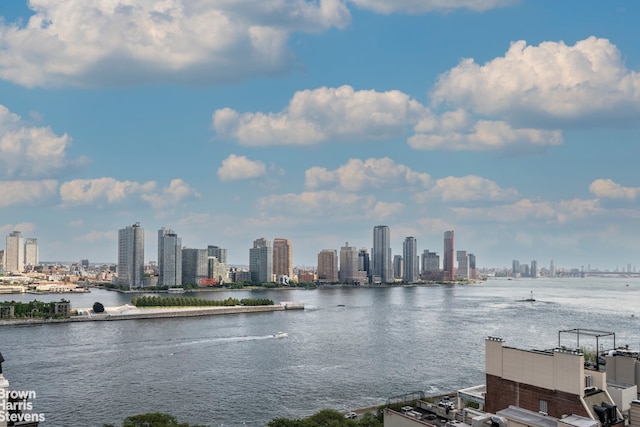 433 E 51st St Unit 11E, New York City, NY 10022 - water view featuring skyline