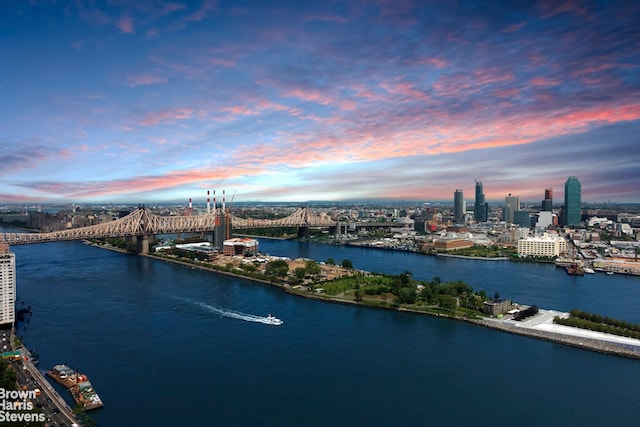 433 E 51st St Unit 11E, New York City, NY 10022 - water view with a notable bridge and nearby urban area