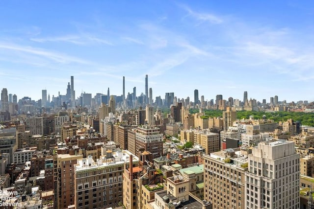 111 E 85th St Unit 9G, New York City, NY 10028 - view of city skyline