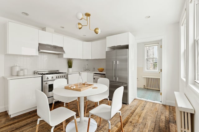 211 Powers St, New York City, NY 11211 - kitchen featuring appliances with stainless steel finishes, under cabinet range hood, light wood-style floors, tasteful backsplash, and recessed lighting