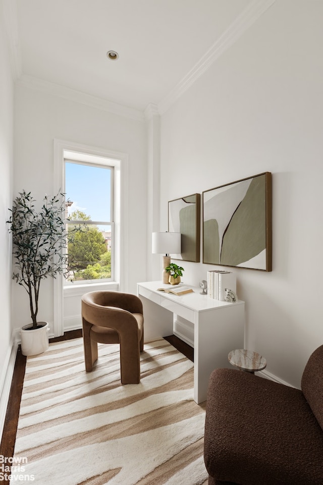1148 Sterling Place, New York City, NY 11213 - bathroom with ornamental molding