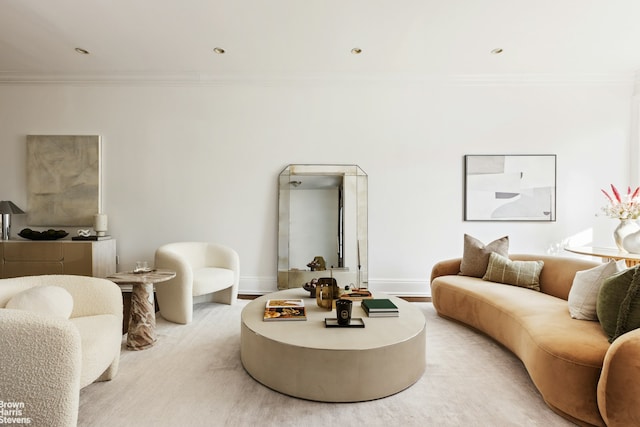 1148 Sterling Place, New York City, NY 11213 - living area featuring crown molding and light wood finished floors
