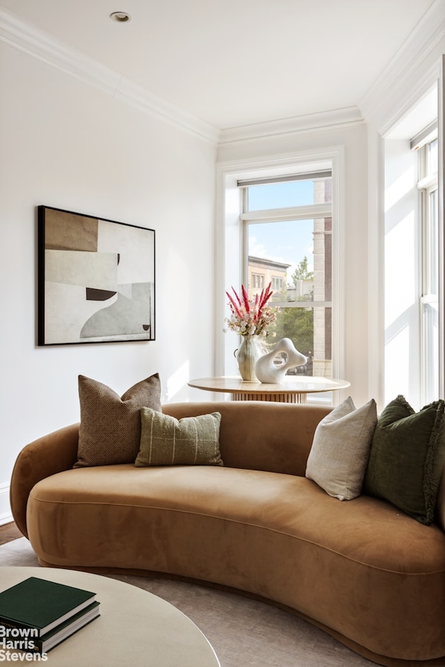 1148 Sterling Place, New York City, NY 11213 - living room featuring crown molding