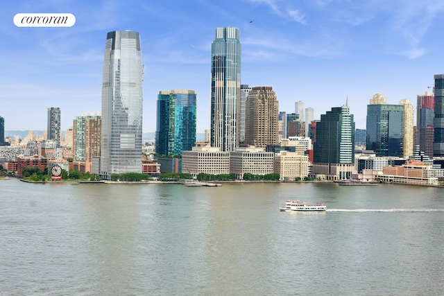 30 Little W St Unit 24A, New York City, NY 10004 - skyline view featuring a large body of water