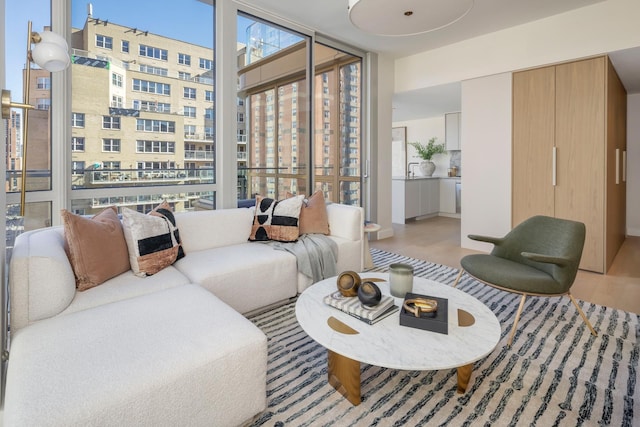 250 E 25th St Ph-A, Ph-A New York City, NY 10010 - living area with a wall of windows and wood finished floors