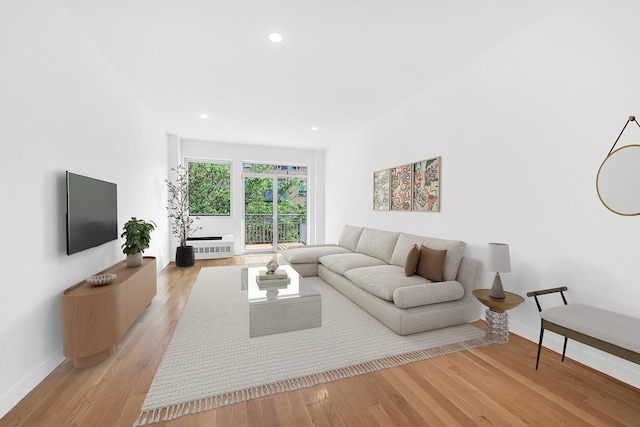 870 Pacific St Unit 3-F, New York City, NY 11238 - living area featuring radiator, recessed lighting, and light wood-type flooring