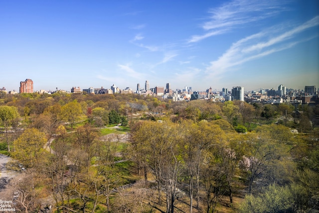 1212 5th Ave Unit 14A, New York City, NY 10029 - skyline view