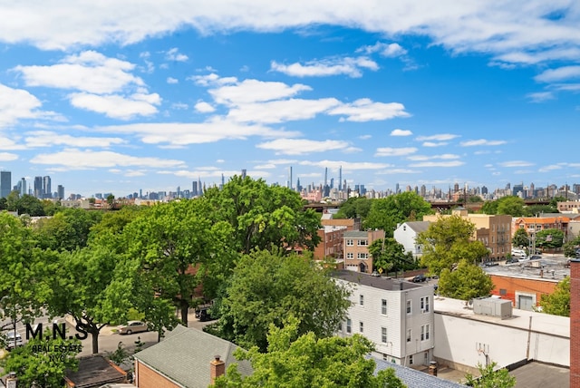 22-54 46th St Unit 803, New York City, NY 11105 - skyline view