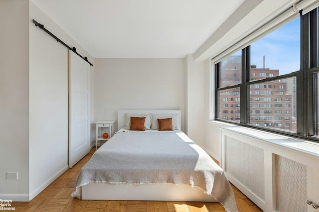 330 3rd Ave Unit 15E, New York City, NY 10010 - bedroom featuring radiator and a barn door