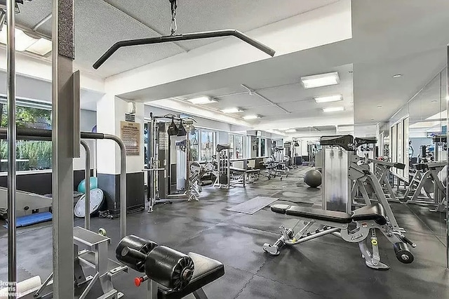446 Kent Ave Unit 11B, New York City, NY 11211 - view of workout area