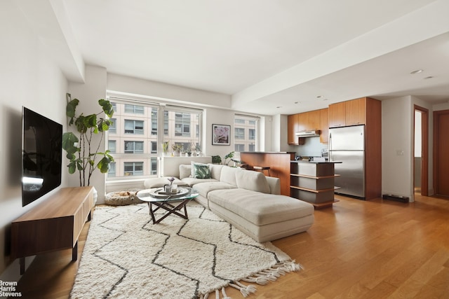 446 Kent Ave Unit 11B, New York City, NY 11211 - living room featuring light wood finished floors
