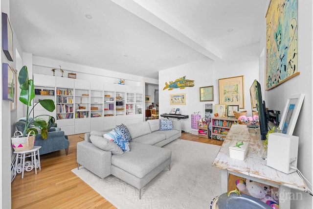 11 Sterling Pl Unit 4A, New York City, NY 11217 - living room with wood finished floors