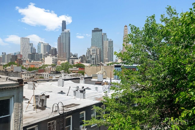 11 Sterling Pl Unit 4A, New York City, NY 11217 - view of city skyline