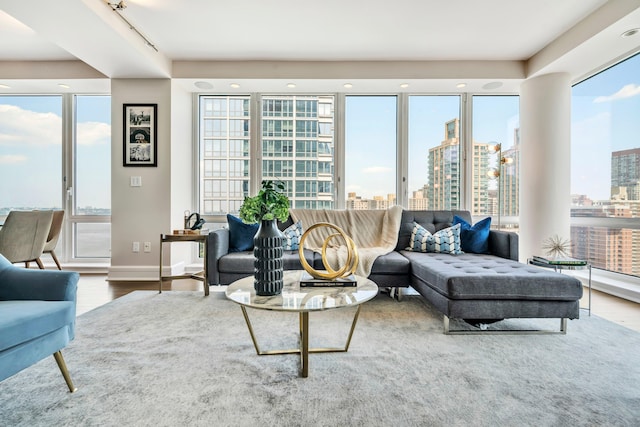 60 Riverside Blvd Unit 2402, New York City, NY 10069 - living area featuring a city view, wood finished floors, and healthy amount of natural light
