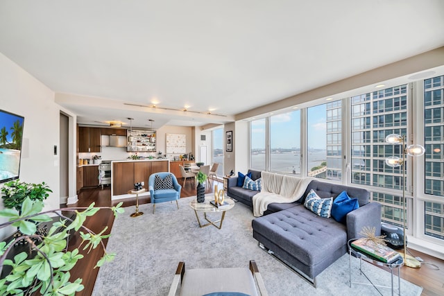 60 Riverside Blvd Unit 2402, New York City, NY 10069 - living room with dark wood-type flooring and a water view