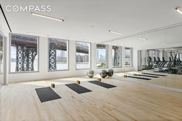 8 S 4th St Unit 15D, New York City, NY 11249 - gym with wood finished floors