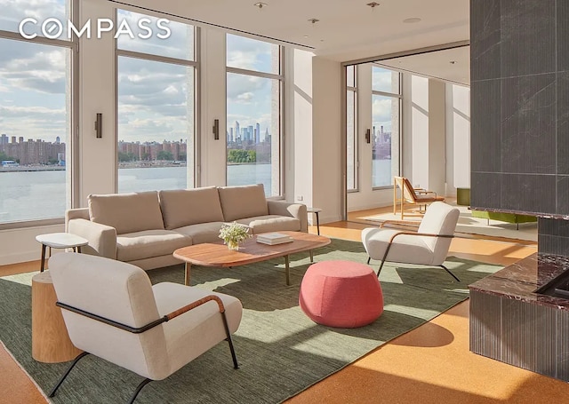 8 S 4th St Unit 15D, New York City, NY 11249 - lobby with a skyline view, floor to ceiling windows, and a water view
