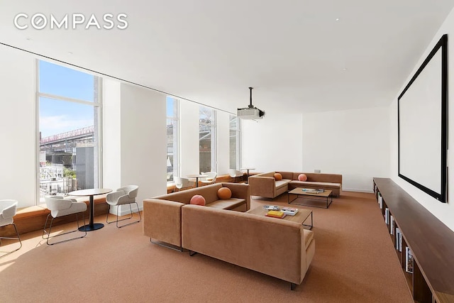 8 S 4th St Unit 15D, New York City, NY 11249 - carpeted home theater with healthy amount of natural light