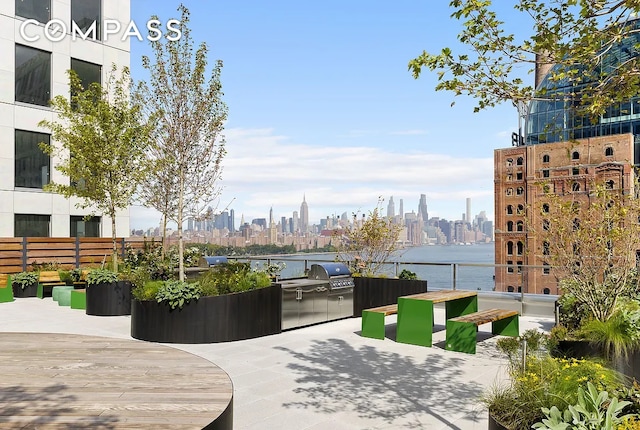 8 S 4th St Unit 15D, New York City, NY 11249 - view of community with a view of skyline, area for grilling, and a water view
