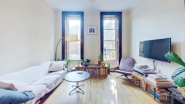125 Washington Ave, New York City, NY 11205 - living area with crown molding and wood finished floors