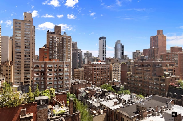 45 Park Ave Unit 1105, New York City, NY 10016 - view of city skyline