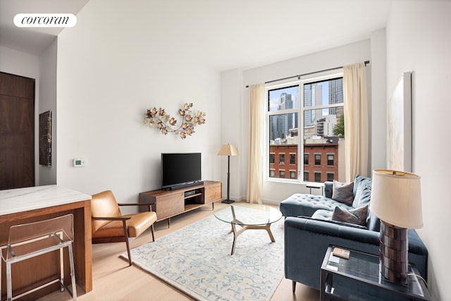 509 Pacific St Unit 4J, New York City, NY 11217 - living room featuring light wood finished floors