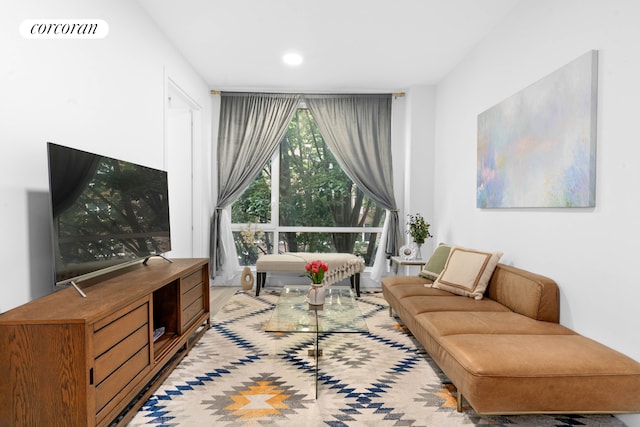631 E 18th St Unit 2B, New York City, NY 11226 - living room featuring recessed lighting