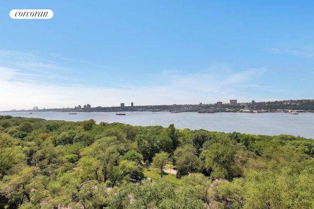 390 Riverside Dr Unit 11E, New York City, NY 10025 - water view