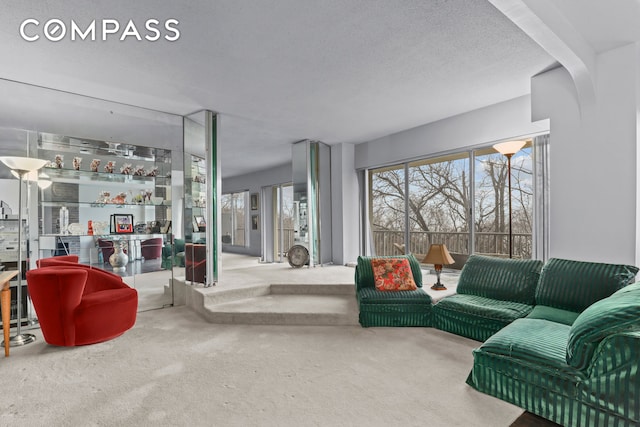 4455 Douglas Ave Unit 3Fe, New York City, NY 10471 - carpeted living area featuring a textured ceiling