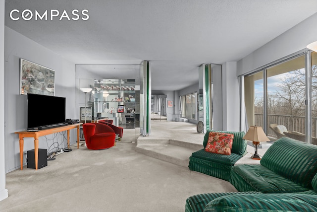 4455 Douglas Ave Unit 3Fe, New York City, NY 10471 - view of carpeted living room