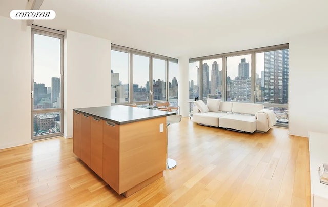310 W 52nd St Unit 18H, New York City, NY 10019 - kitchen with a skyline view, a kitchen island, light wood-type flooring, modern cabinets, and floor to ceiling windows