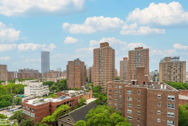 500 Grand St Unit C12A, New York City, NY 10002 - view of city skyline