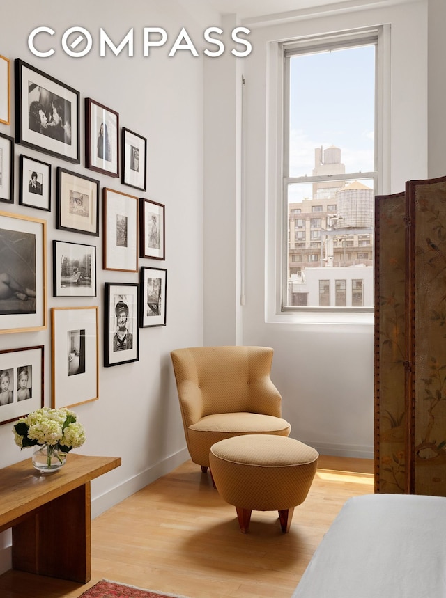 32 W 20th St Unit 9B, New York City, NY 10011 - living area featuring light wood finished floors and baseboards