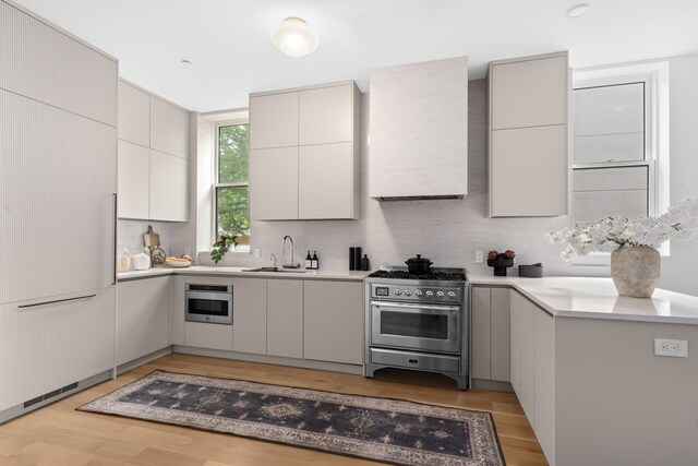 205 14th St Unit Th, New York City, NY 11215 - kitchen with high end stainless steel range oven, light wood-type flooring, range hood, light countertops, and modern cabinets