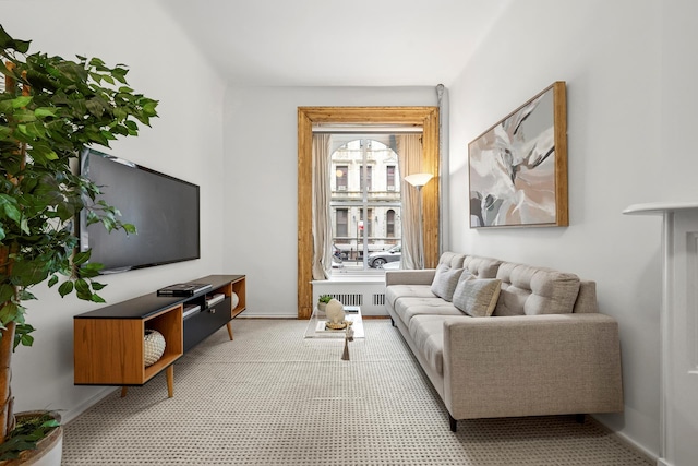 222 E 17th St Garden, Unit Garden, New York City, NY 10003 - living area with carpet floors and baseboards