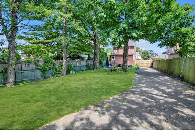 43-60 Auburndale Ln, New York City, NY 11358 - view of yard