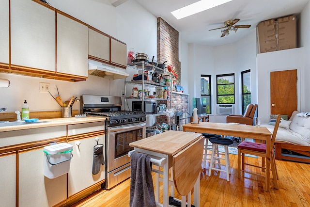 298 12th St Unit 4F, New York City, NY 11215 - kitchen with appliances with stainless steel finishes, under cabinet range hood, a towering ceiling, a skylight, and light wood-type flooring